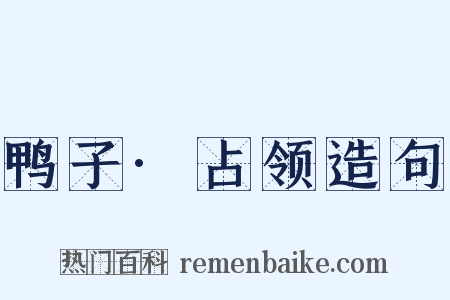 鸭子·占领造句是什么意思的图片
